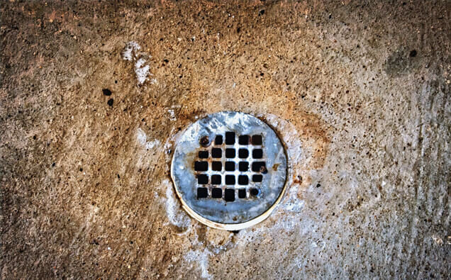 https://blockeddrainscannington.com.au/uploads/2025/07/blocked-shower-drains-20432.jpg