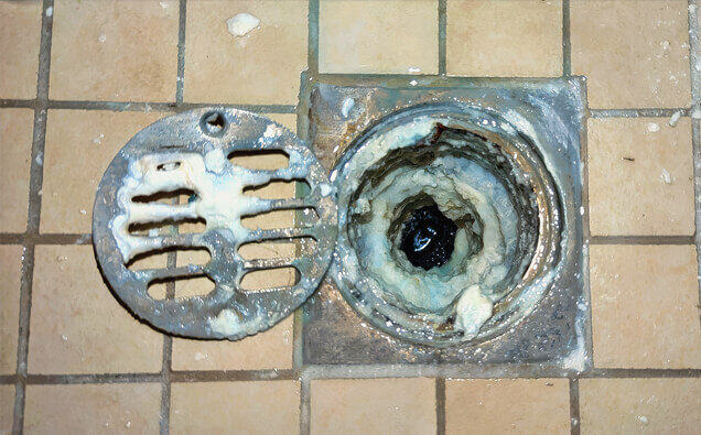 https://blockeddrainscannington.com.au/uploads/2025/07/blocked-shower-drains-33151.jpg