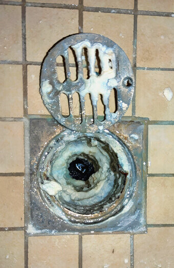 https://blockeddrainscannington.com.au/uploads/2025/07/blocked-shower-drains-86331.jpg