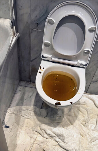 https://blockeddrainscannington.com.au/uploads/2025/07/blocked-toilet-27793.jpg