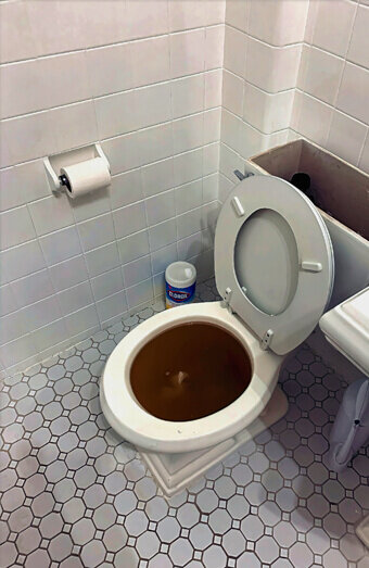 https://blockeddrainscannington.com.au/uploads/2025/07/blocked-toilet-99184.jpg