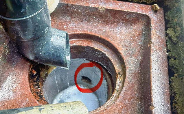 https://blockeddrainscannington.com.au/uploads/2025/07/hero-blocked-sewers-17074.jpg