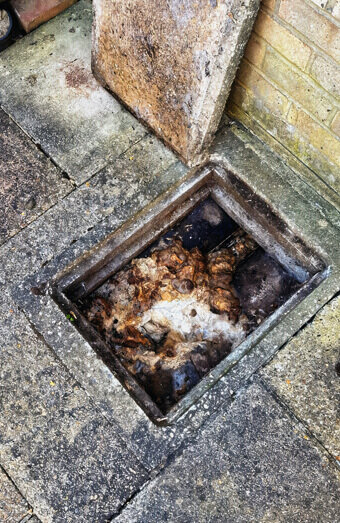 https://blockeddrainscannington.com.au/uploads/2025/07/hero-blocked-sewers-64792.jpg