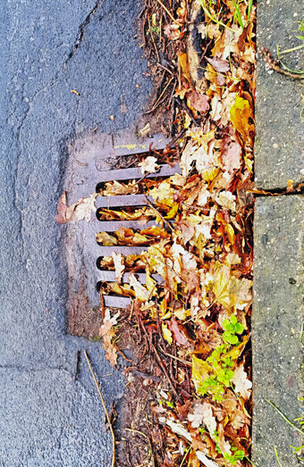 https://blockeddrainscannington.com.au/uploads/2025/07/stormwater-drains-48051.jpg